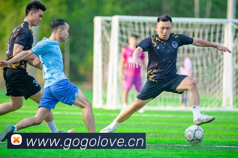 App Interface Preview